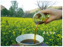 18年新油 陕西 纯菜籽油 农家 自榨 食用油 土梁工艺制作2.5L