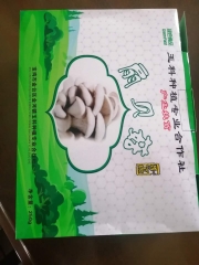扇贝菇干货